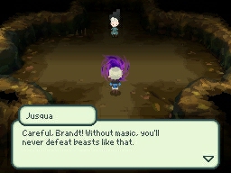 Final Fantasy: The 4 Heroes of Light - Imagen 2